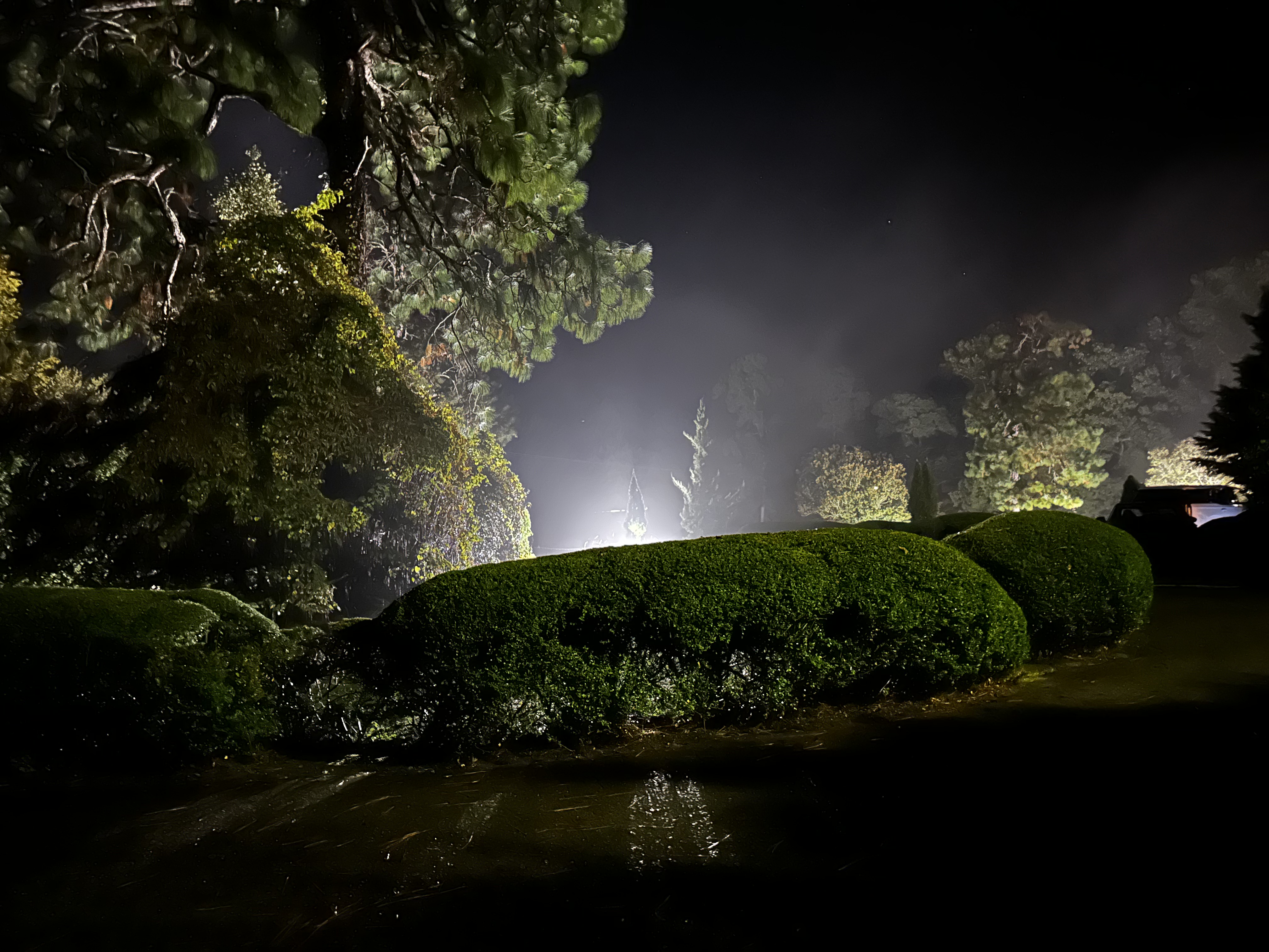 Meditation at The Grateful Event 2024 in Arroyo Grande